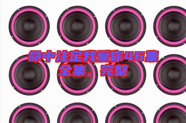 命中注定我愛你46集全集，完整