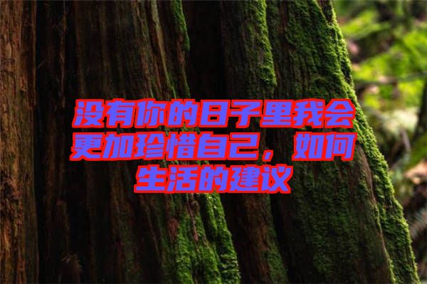 沒有你的日子里我會(huì)更加珍惜自己，如何生活的建議