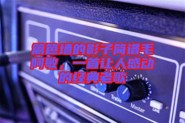 籬笆墻的影子簡譜毛阿敏，一首讓人感動的經(jīng)典老歌