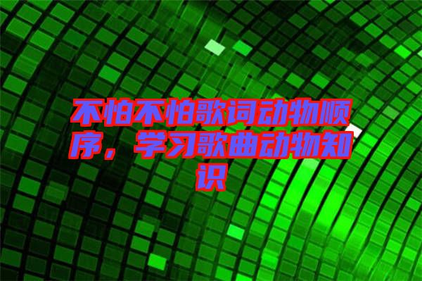 不怕不怕歌詞動(dòng)物順序，學(xué)習(xí)歌曲動(dòng)物知識(shí)