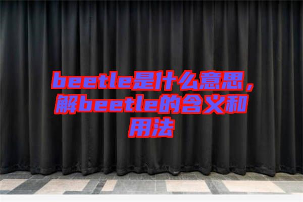 beetle是什么意思，解beetle的含義和用法