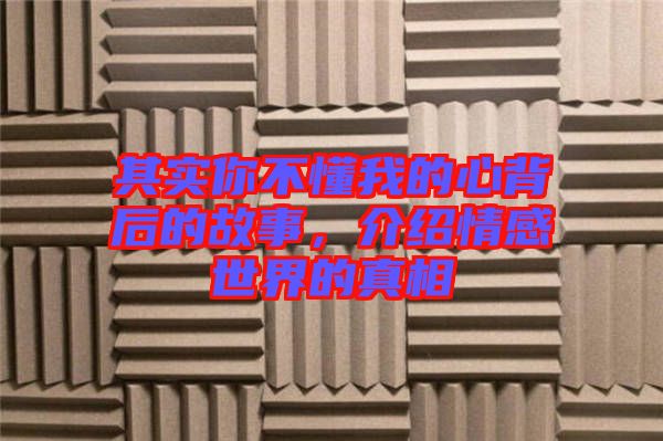 其實(shí)你不懂我的心背后的故事，介紹情感世界的真相