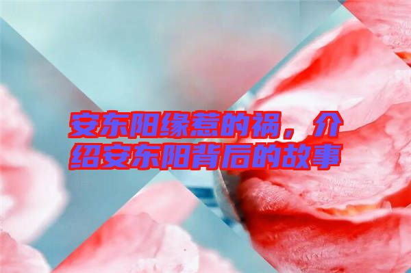 安東陽緣惹的禍，介紹安東陽背后的故事