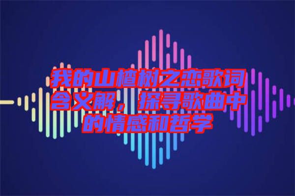 我的山楂樹(shù)之戀歌詞含義解，探尋歌曲中的情感和哲學(xué)