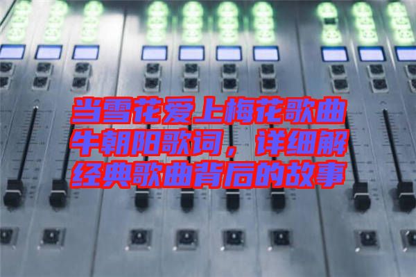 當(dāng)雪花愛上梅花歌曲牛朝陽歌詞，詳細(xì)解經(jīng)典歌曲背后的故事
