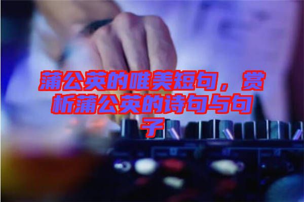 蒲公英的唯美短句，賞析蒲公英的詩句與句子