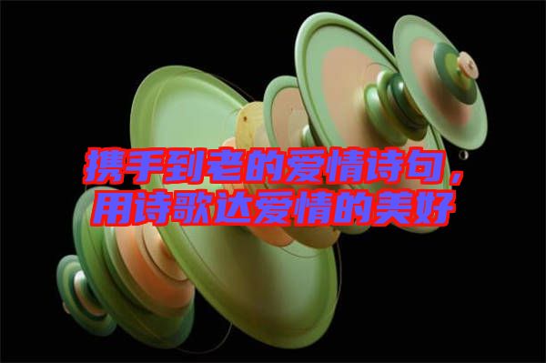 攜手到老的愛情詩句，用詩歌達(dá)愛情的美好