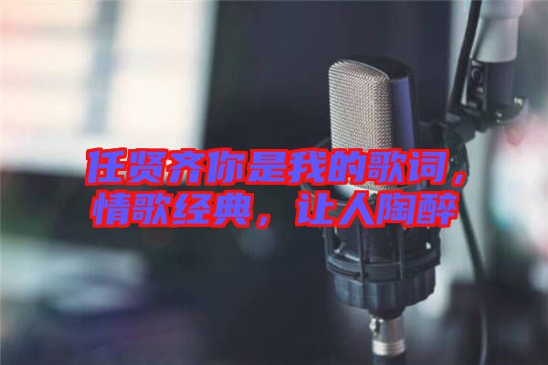 任賢齊你是我的歌詞，情歌經(jīng)典，讓人陶醉