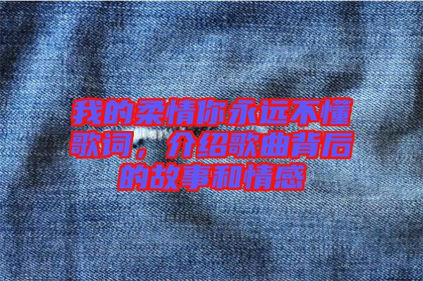 我的柔情你永遠(yuǎn)不懂歌詞，介紹歌曲背后的故事和情感