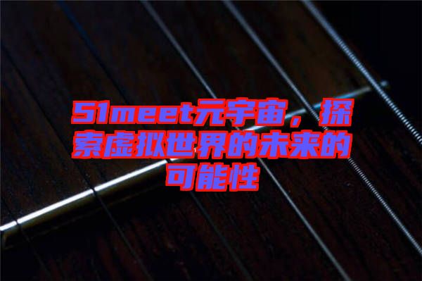 51meet元宇宙，探索虛擬世界的未來(lái)的可能性