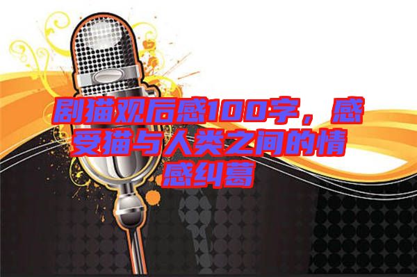 劇貓觀后感100字，感受貓與人類之間的情感糾葛