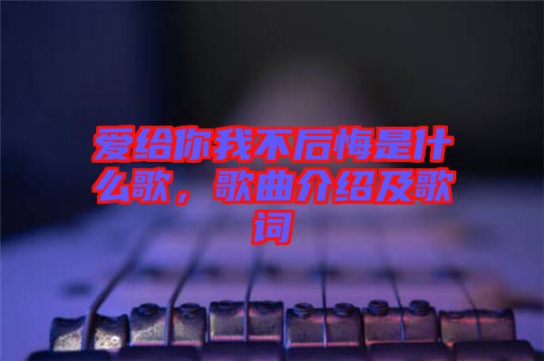 愛給你我不后悔是什么歌，歌曲介紹及歌詞