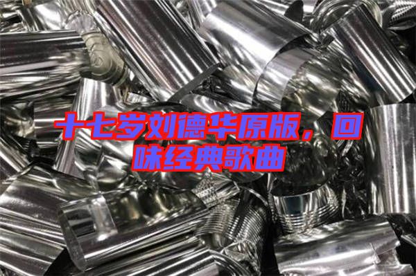 十七歲劉德華原版，回味經(jīng)典歌曲