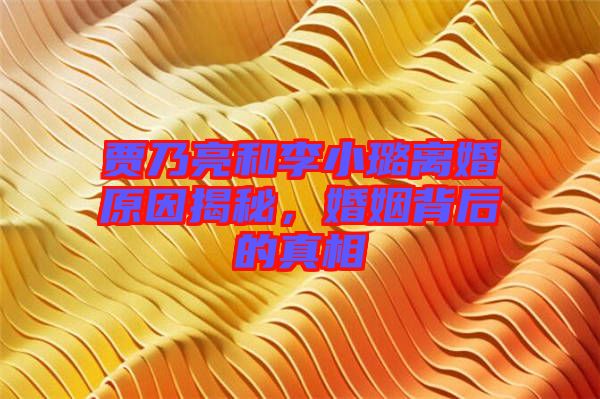 賈乃亮和李小璐離婚原因揭秘，婚姻背后的真相