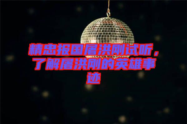 精忠報國屠洪剛試聽，了解屠洪剛的英雄事跡