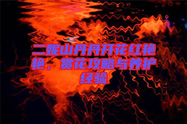 二妮山丹丹開花紅艷艷，賞花攻略與養(yǎng)護經(jīng)驗