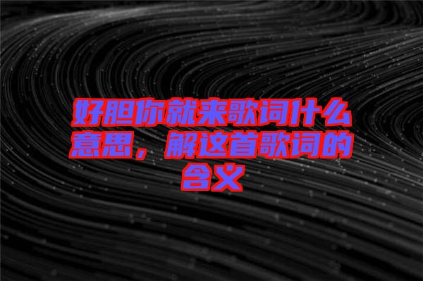 好膽你就來歌詞什么意思，解這首歌詞的含義