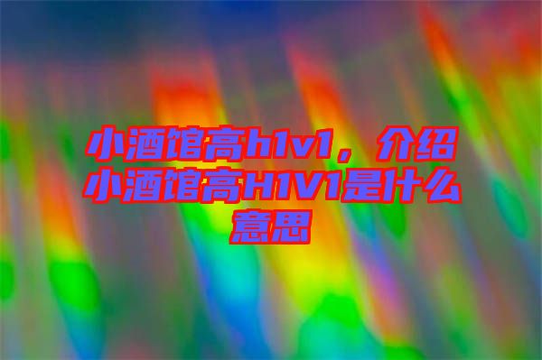 小酒館高h1v1，介紹小酒館高H1V1是什么意思