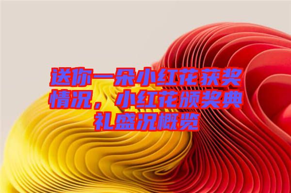 送你一朵小紅花獲獎情況，小紅花頒獎典禮盛況概覽