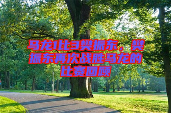 馬龍1比3樊振東，樊振東再次戰(zhàn)勝馬龍的比賽回顧