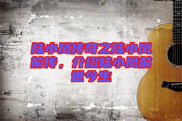 陸小鳳傳奇之陸小鳳前傳，介紹陸小鳳前世今生